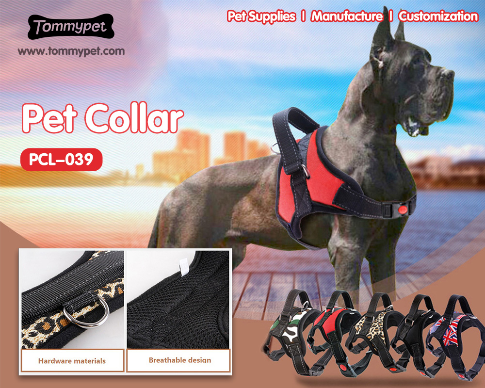 China wolesale pet clothing distributors and their contribution