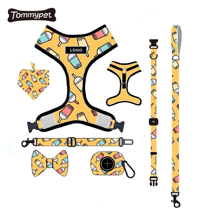 OEM & ODM Custom Logo Latest Desirable Adjustable Polyester Pet Lovely Dog Harness Bow Tie and Leash Set