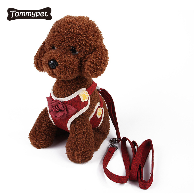 2021 Fashion xxs Pet harness Leash dog harness Set with leash