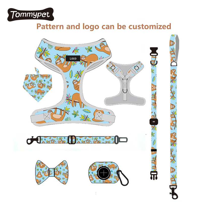Factory Wholesale OEM /ODM custom logo Customized Pattern adjustable soft mesh padded Reversible Dog Harness Leash Set