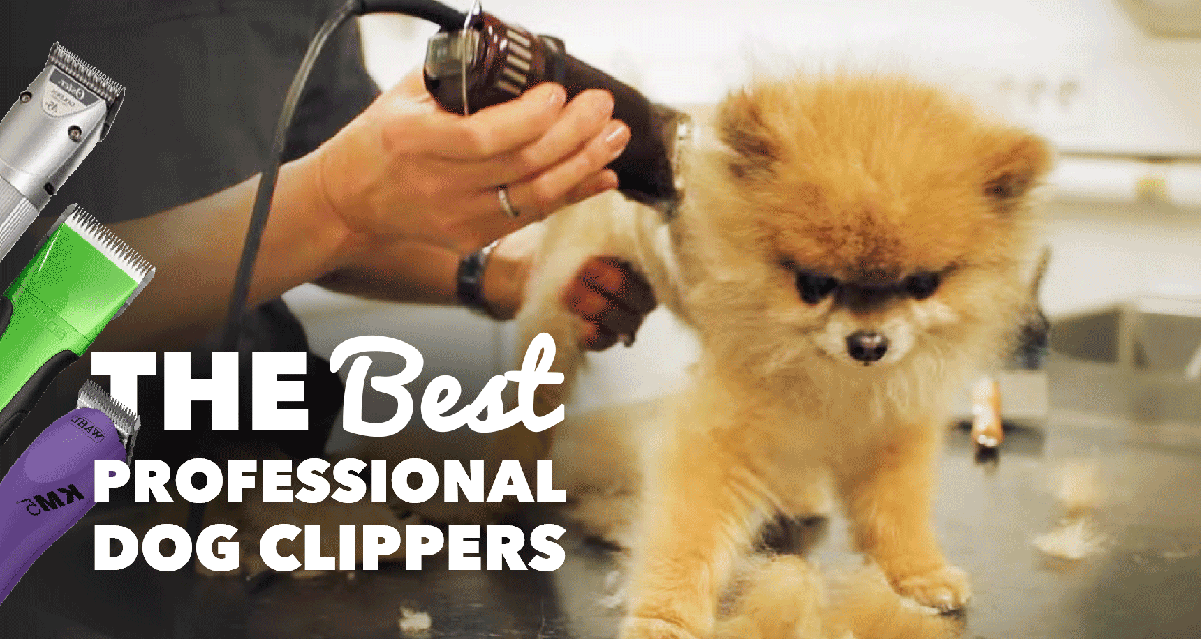 The Complete Guide To Choose Right Pet Clippers For Your Dog