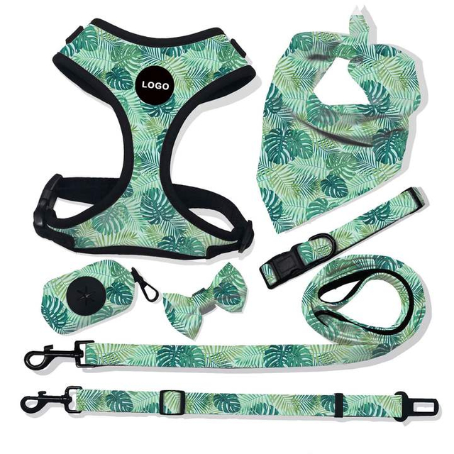 dog leashes in bulk