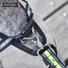Amazon Wholesale Training Wear On Both Sides Harness Dog Harness Set Custom Logo For Pet