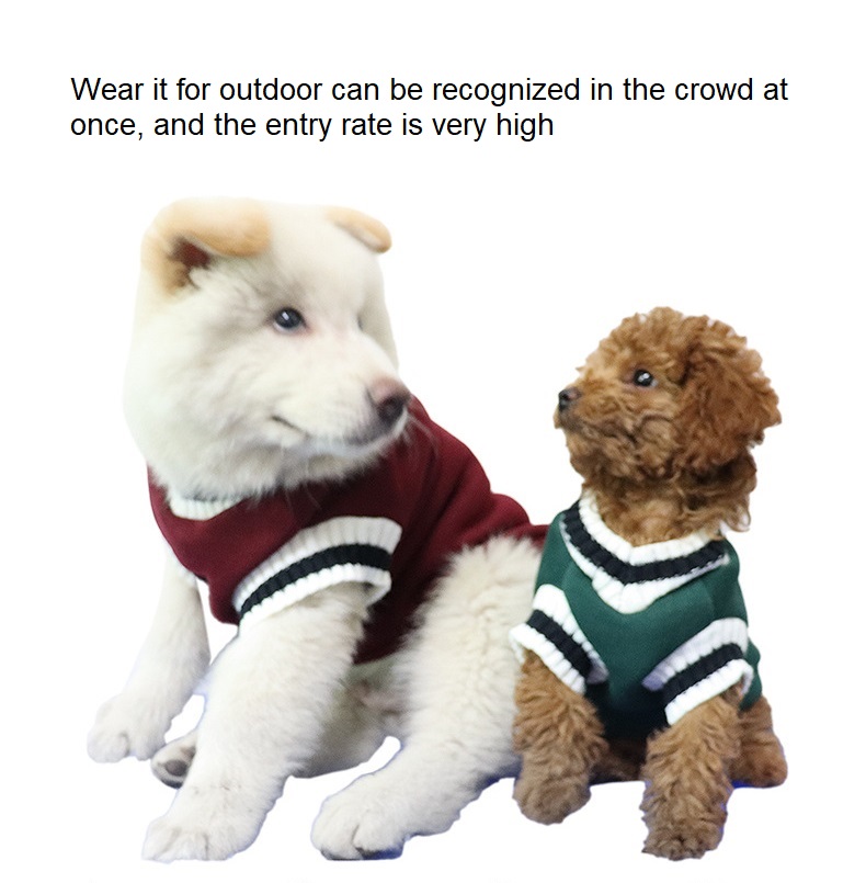 Teddy Cat Fleece Warm Sports Winter Luxury Classic Cashmere Knitted Cotton Pet Blank Dog Sweater Clothes For Small Dog