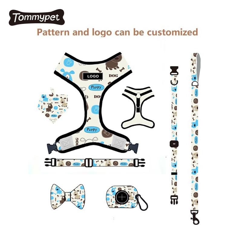OEM odm accept personalised adjustable lightweight Custom Print Pet dog collar leash and reversible harness set with dog