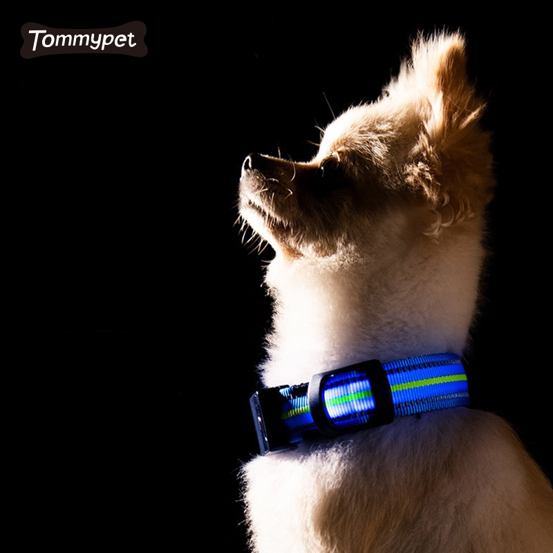 2021 Night Safety Flashing Glow In The Dark Waterproof Reflective Nylon Pet LED Dog Collar