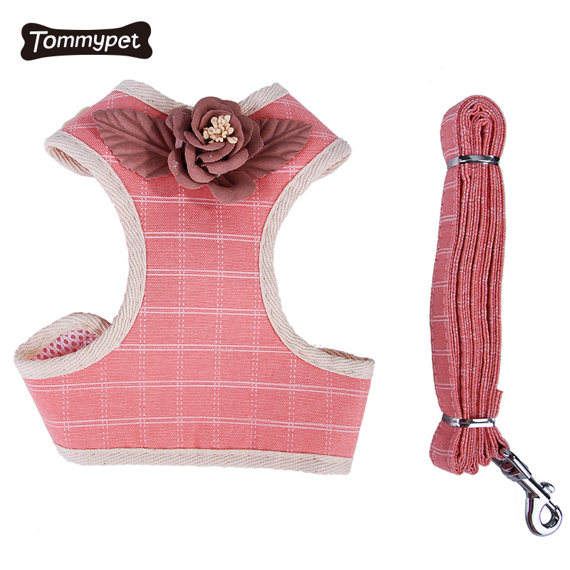 2021 Fashion xxs Pet harness Leash dog harness Set with leash