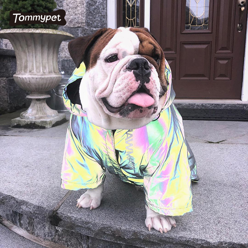 wholesale China factory high vis rainbow color reflective safety pet dog fashion jacket vest coat for dog outside running safety