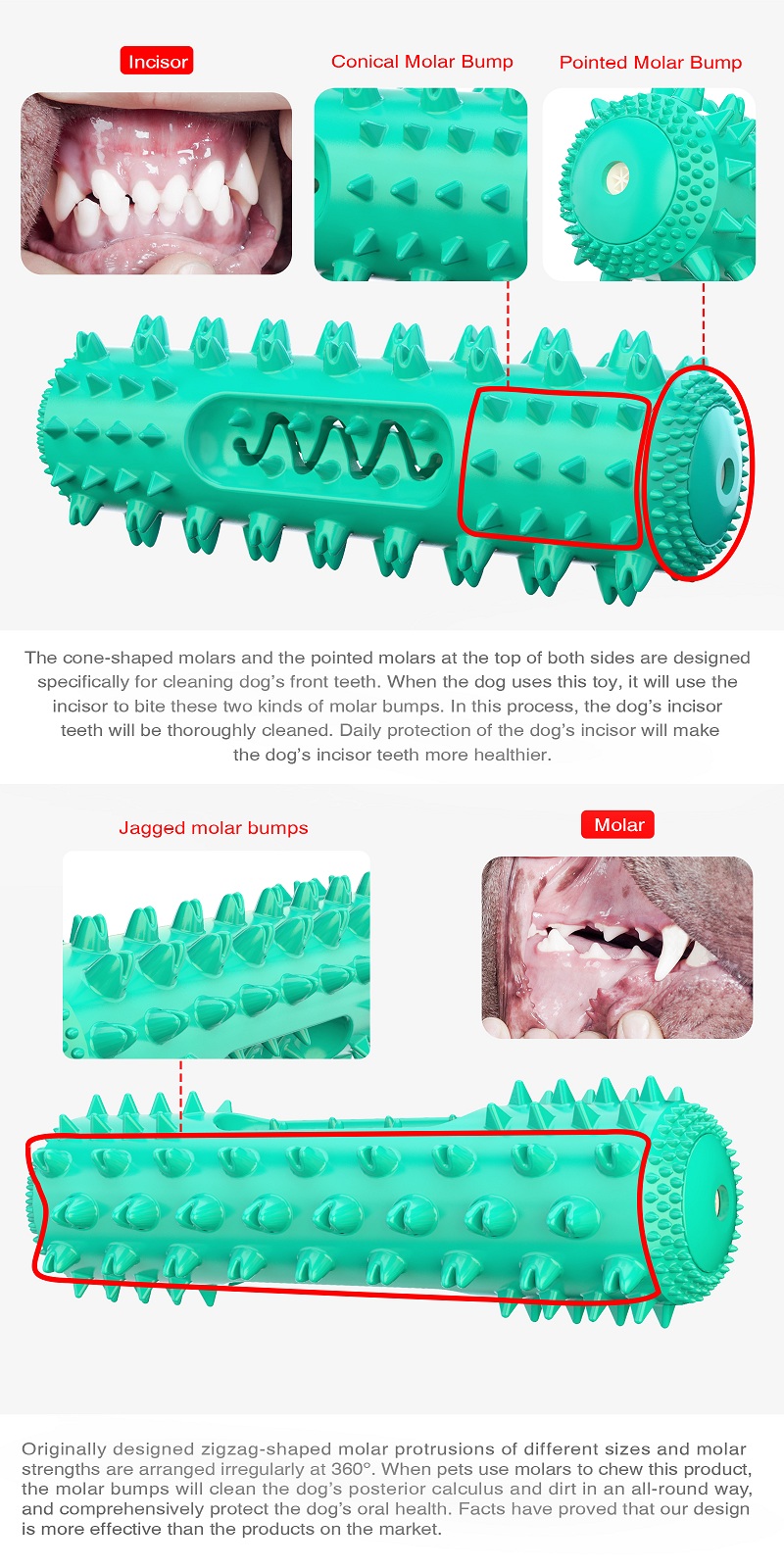 Amazon Best Seller TPR Teeth Cleaning Serrated Molar Rod Dog Toothbrush Chew Squeaky Pet Dog Toy