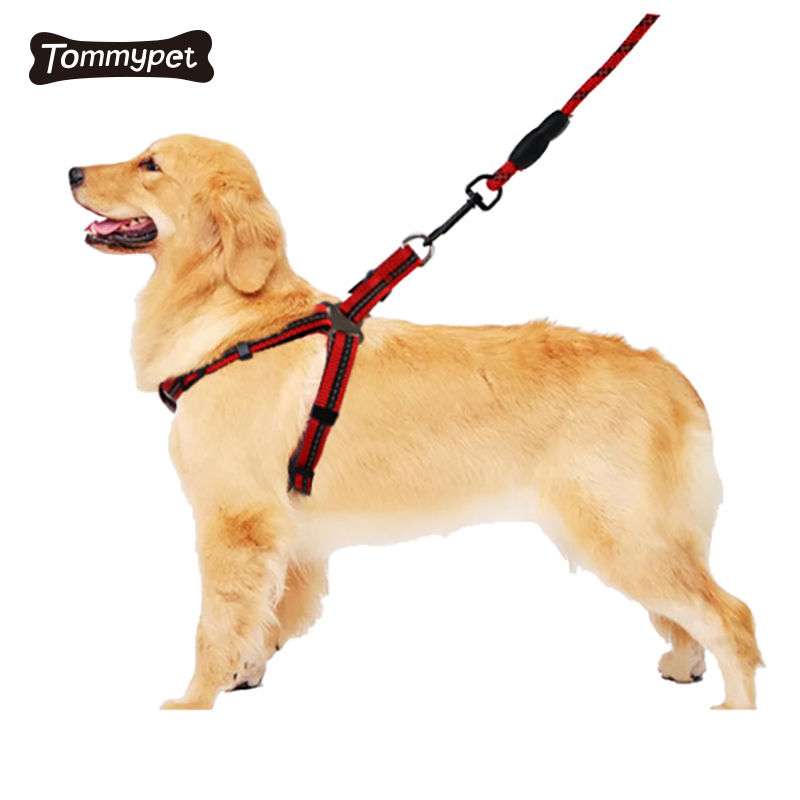 Reflective nylon Soft Mesh Padded Quick Fit Leash Dog Harness Set for Walking Training