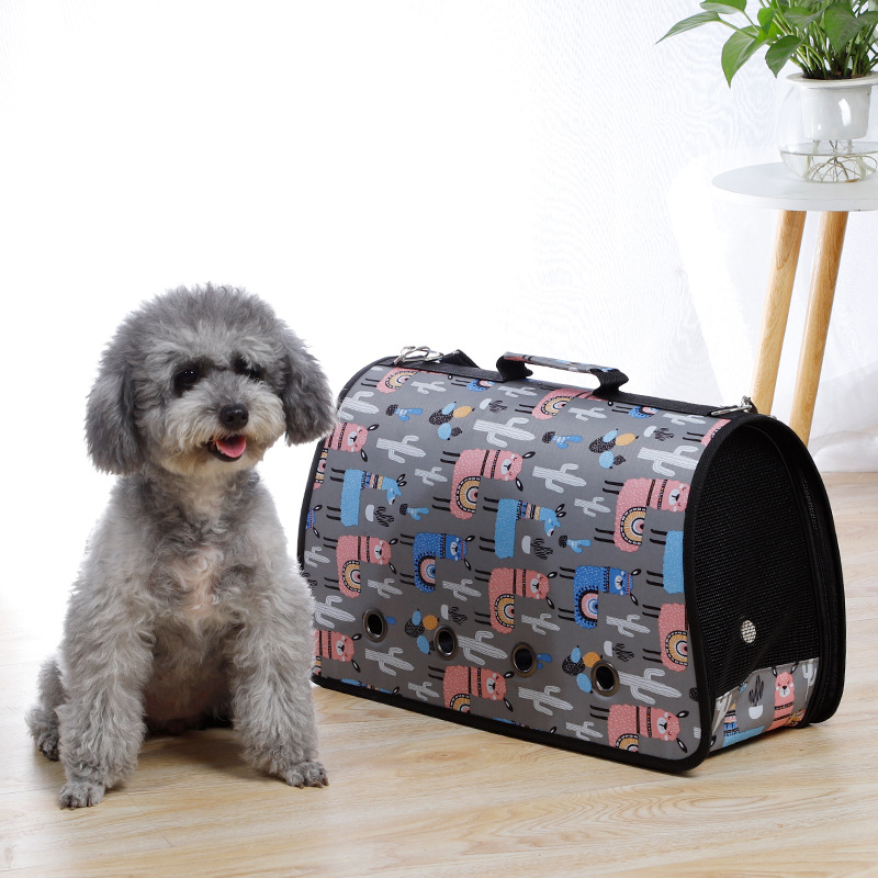 Wholesale dog supplies & products in bulk manufacturer Tommypet