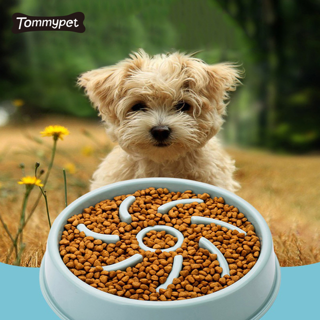 wholesale dog toys bulk